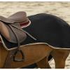 EKKIA (Ekia) 3338025597326 Horse Riding Equipment Black ETHEME EX.SH.POLYFUN BLK 155 400187255, oner Size, Other view 1