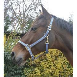 EKKIA (Ekia) 3338025596381 Horse Riding Equipment POLYFUN E-T Halter Full Navy 510090007, oner Size, Other