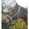 EKKIA (Ekia) 3338025596381 Horse Riding Equipment POLYFUN E-T Halter Full Navy 510090007, oner Size, Other view 1