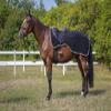 EKKIA (Ekia) 3338025597319 Horse Riding Equipment Black ETHEME EX.SH.POLYFUN BLK 140 400187240, oner Size, Other view 1