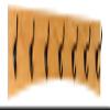 PEG AND RAIL Solid Cherry Arched Wall Mounted Coat Rack Bronze Hat & Coat Hooks - Made in The USA (Cherry, 36" x 4.5" with 7 Hooks) view 1