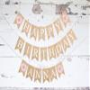 Swanky Party Box | Donut Happy Birthday Personalized Banner view 2