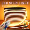 IEKOV LED NEON Light, AC 110-120V Flexible LED Neon Strip Lights, 120 LEDs/M, Waterproof 2835 SMD LED Rope Light + Controller Power Cord for Home Decoration (16.4ft/5m, Warm White) view 2