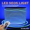 IEKOV LED NEON Light, AC 110-120V Flexible LED Neon Strip Lights, 120 LEDs/M, Dimmable, Waterproof 2835 SMD LED Rope Light + Remote Controller for Home Decoration (65.6ft/20m, Blue) view 2