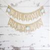 Swanky Party Box | Blue Pumpkin Welcome Baby Personalized Banner for Fall Baby Shower or Gender Reveal Party Dcor view 2