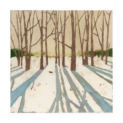 Trademark Fine Art Winter Shadows II by Megan Meagher, 18x18