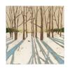 Trademark Fine Art Winter Shadows II by Megan Meagher, 18x18 view 1