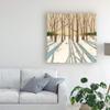 Trademark Fine Art Winter Shadows II by Megan Meagher, 18x18 view 3