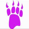 ION Graphics Magnet Bear Track - Pink Bear Track Vinyl Magnet - Hiking Vinyl Magnet - Nature - Perfect Outdoor Lover Gift - Made in The USA Size: 4 x 3.3 inch view 1
