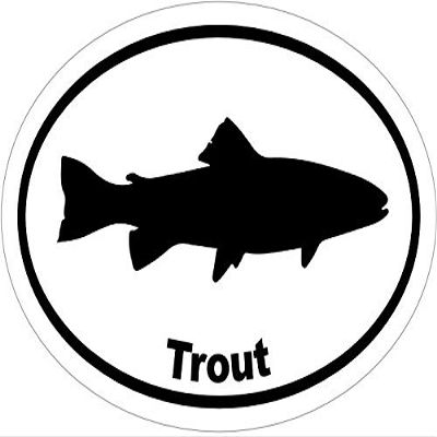 ION Graphics Magnet Trout - Trout Vinyl Magnet - Fishing Vinyl Magnet - Fishing - Trout Magnet - Perfect Fishing Gift - Made in The USA Size: 4.7 x 3.3 inch