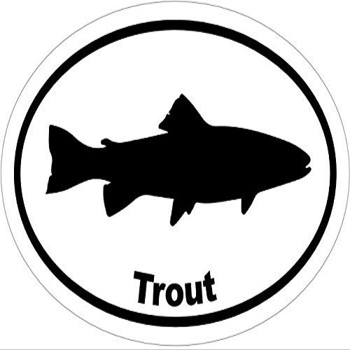 ION Graphics Magnet Trout - Trout Vinyl Magnet - Fishing Vinyl Magnet - Fishing - Trout Magnet - Perfect Fishing Gift - Made in The USA Size: 4.7 x 3.3 inch