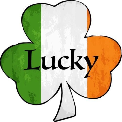 ION Graphics Magnet Lucky Shamrock Vinyl - Irish Vinyl Magnet - Perfect Celtic Heritage Gift Size: 5.000" x 5.000 inch
