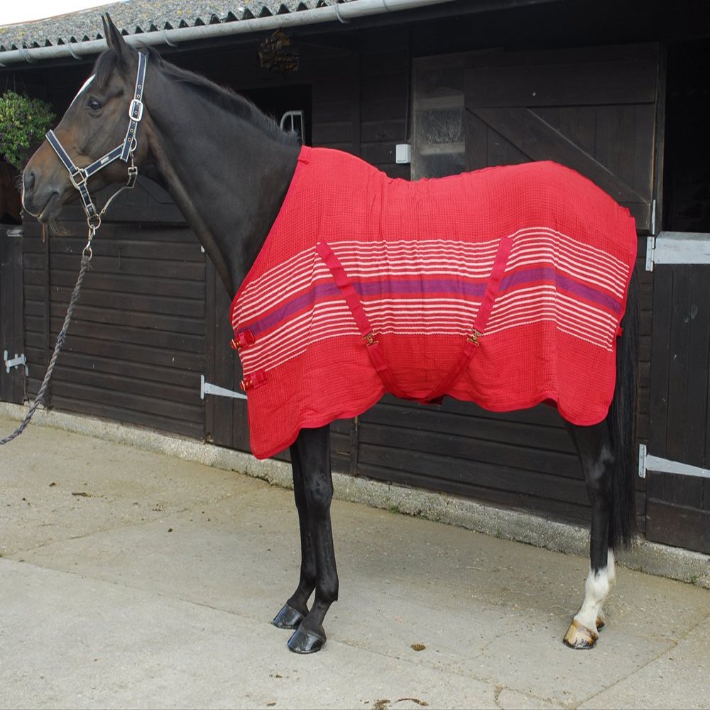 Rhinegold Supercooler Multi Purpose Rug