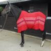 Rhinegold Supercooler Multi Purpose Rug view 1