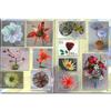 Fused Glass Flowers view 4