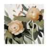 Trademark Fine Art Floral Disarray II by Emma Scarvey, 18x18 view 1