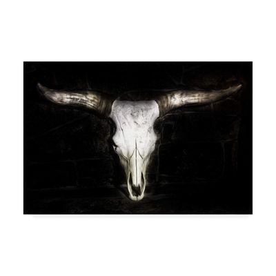 Trademark Fine Art Cow Skull by PHBurchett, 16x24