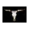 Trademark Fine Art Cow Skull by PHBurchett, 16x24 view 1