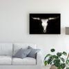 Trademark Fine Art Cow Skull by PHBurchett, 16x24 view 3