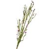 Factory Direct Craft Purple Artificial Blossom and Mossy Twig Spray view 1