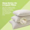 Bean Products Travel Pillow with Pillowcase - Organic Kapok Filled Soft Neck Pillow with Organic Cotton Surface - Hypoallergenic and Breathable Pillowcase with Zipper - Made in The USA, 13" x 18" view 3