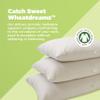 Bean Products Japanese Organic Kapok Pillow + Natural Org Case - 14" x 20" - Organic Cotton Zippered Shell - Made in USA view 2