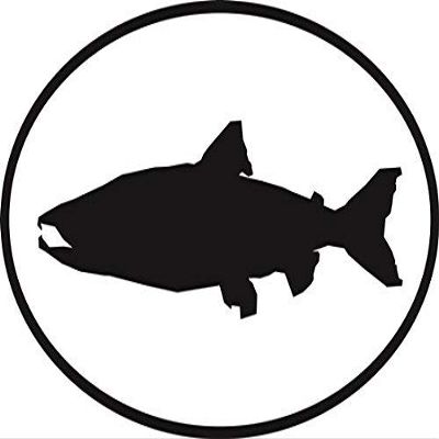 DG Graphics Magnet Salmon Euro Oval Magnet Car Auto Fridge Locker Metal 5"