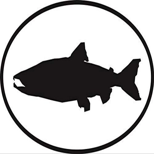 DG Graphics Magnet Salmon Euro Oval Magnet Car Auto Fridge Locker Metal 5"