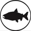 DG Graphics Magnet Salmon Euro Oval Magnet Car Auto Fridge Locker Metal 5" view 1