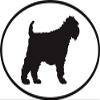 DG Graphics Magnet Wheaten Terrier Euro Oval Magnet Car Auto Fridge Locker Metal 5" view 1