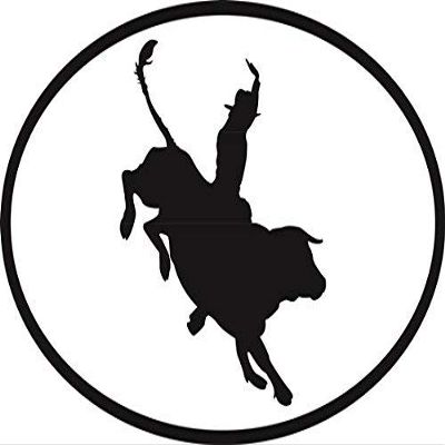 DG Graphics Magnet Bull Rider Euro Oval Magnet Car Auto Fridge Locker Metal 5"