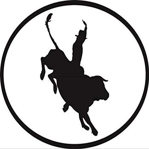 DG Graphics Magnet Bull Rider Euro Oval Magnet Car Auto Fridge Locker Metal 5"