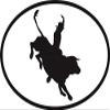 DG Graphics Magnet Bull Rider Euro Oval Magnet Car Auto Fridge Locker Metal 5" view 1
