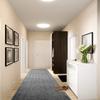 12 Ft Long, Grey, Non-Slip Washable Carpet Runner Rug with Rubber Backing, Custom Floor Mat for Kitchen Hallway Stairs Bedroom Bathroom Entryway, Your Choice of Length (26" X 12') view 3