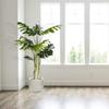 AMERIQUE Pre Unique & Gorgeous 5 Feet Tropical Monstera Palm Split Philo Artificial Tree Silk Plant with Nursery Plastic Pot, with UV Protection, Feel Real Tech, Super Quality, 5', Green view 2