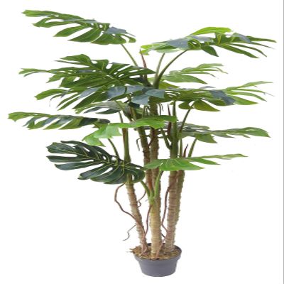 AMERIQUE Unique & Gorgeous 6 Feet Tropical Monstera Palm Split Philo Artificial Tree Silk Plant with Nursery Plastic Pot, with UV Protection, Feel Real Tech., Super Quality,Green,LV8453D6