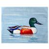 Betsy Drake Northern Shoveler Place Mat Set of 4 view 1