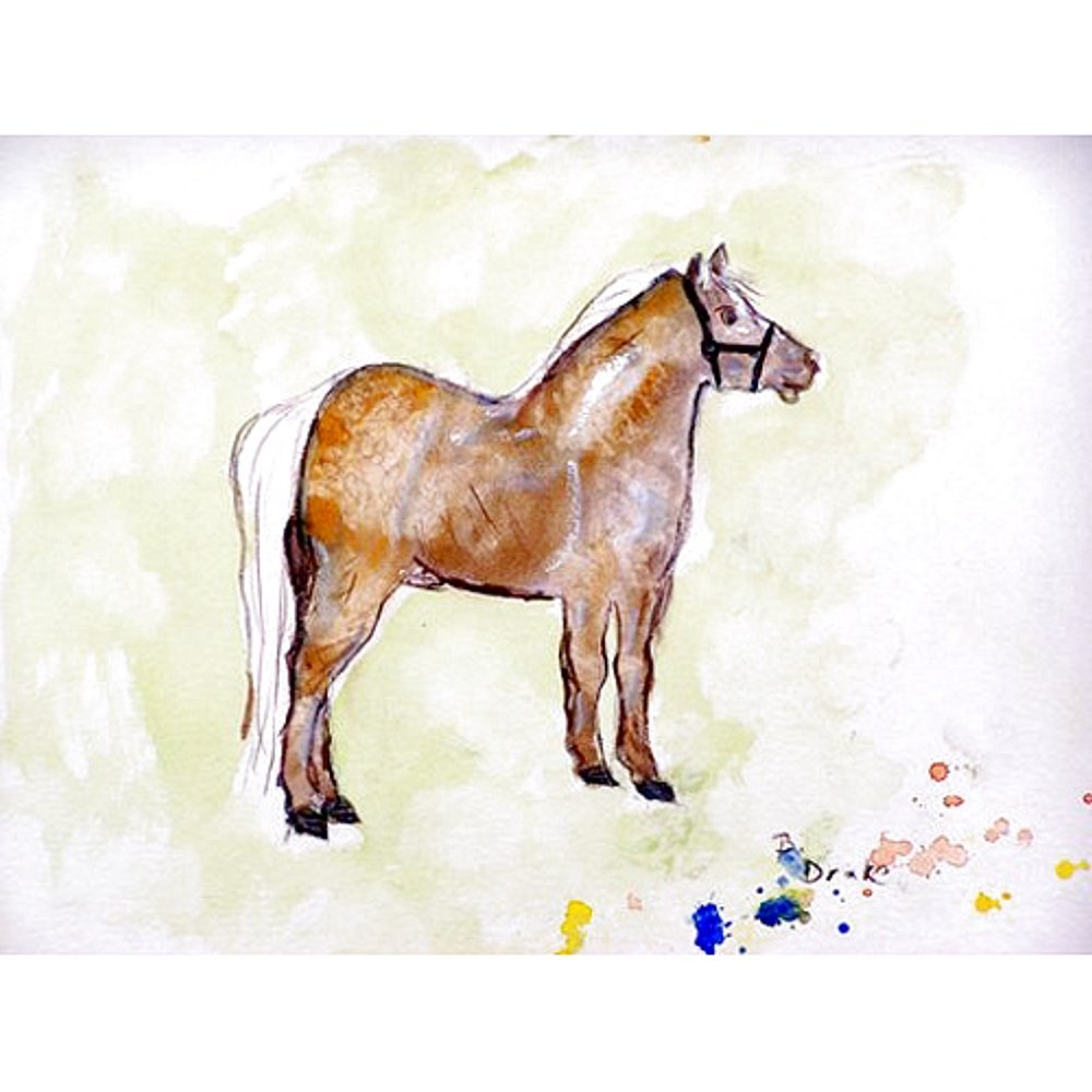 Betsy Drake Interiors Shetland Pony Beach Towel