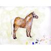 Betsy Drake Interiors Shetland Pony Beach Towel view 1