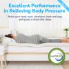 RECCI Memory Foam Mattress Topper, Pressure-Relieving Mattress Topper for Back Pain, Non-Slip Design with Removable & Washable Cover, CertiPUR-US Certified, 2 Inch Queen view 2