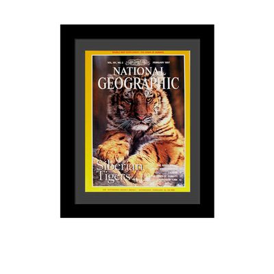 Creative Picture Frames 10 x 12 Magazine Frame with Full-Strength Glass, Holds Up To A 1/4" Thick Media with Installed Hangers for Easy Mounting, 12x14 Manhattan Black Frame with Black Mat
