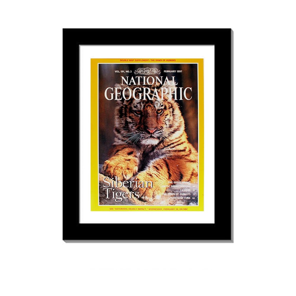 Creative Picture Frames 10 x 12 Magazine Frame with Full-Strength Glass, Holds Up To A 1/4" Thick Media with Installed Hangers for Easy Mounting, 12x14 Manhattan Black Frame with White Mat