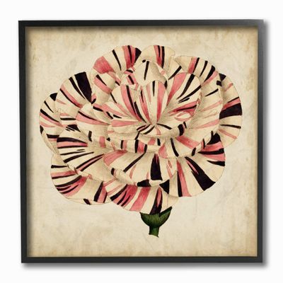 The Stupell Home Decor Striking Striped Tulip Bloom Aged Painting Framed Texturized Art, 12 x 12, Proudly Made in USA
