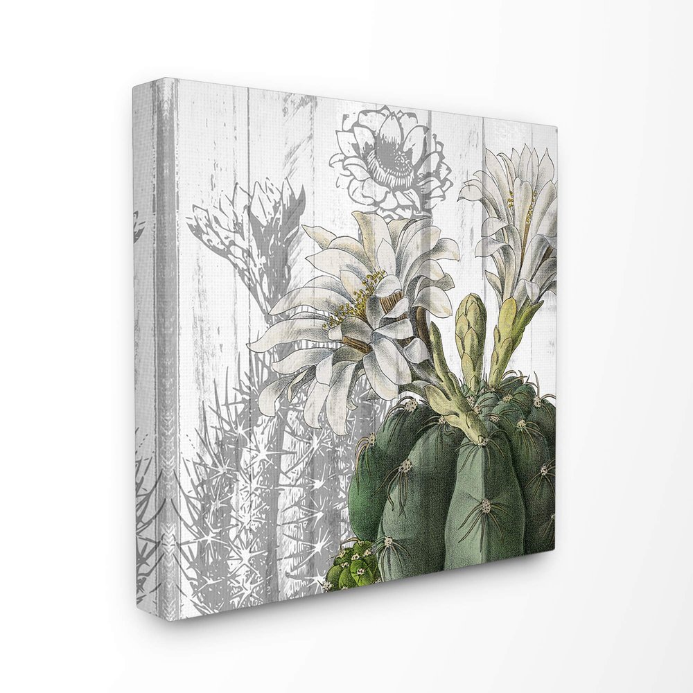 Stupell Industries Cactus with White Blooming Flowers and Soft Grey Background Canvas Wall Art, 24 x 24, Multi-Color
