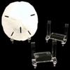 Clear Plastic Sand Dollar Display Stand Small (2x3) Acrylic view 1
