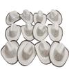 More Fiesta Mini Cowboy Rodeo Hats, 5 Inches Size - 12 Pack (Beige) view 1