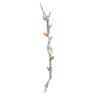Benjara Branch Shape Aluminum Wall Dcor with Four Bird Accents, Gold view 3