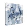 Trademark Fine Art Winter Air II by Christina Long, 18x18 view 2