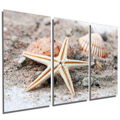 60 x 30 TOTAL - Starfish and Seashell - Metal Print wall art. 3 Panel split, Triptych HD aluminum panels wall decor