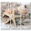 60 x 30 TOTAL - Starfish and Seashell - Metal Print wall art. 3 Panel split, Triptych HD aluminum panels wall decor view 2